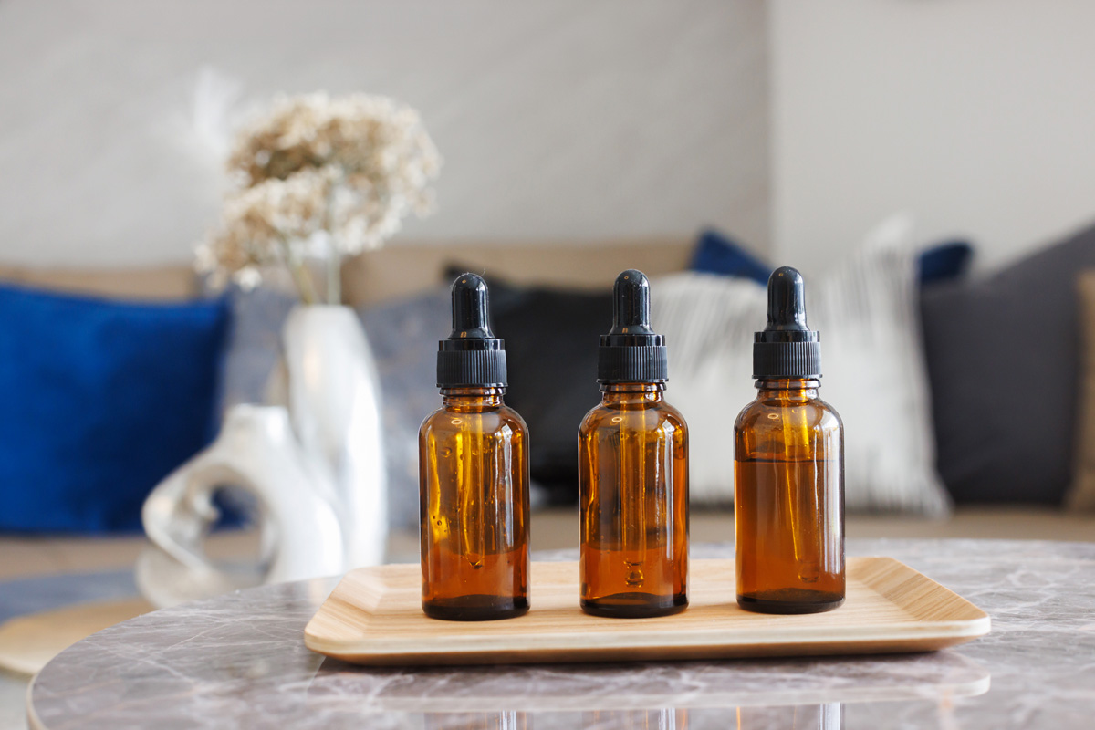 公式】ドッグスリトリートヴィラ淡路｜Dogs' Retreat Villa Awaji