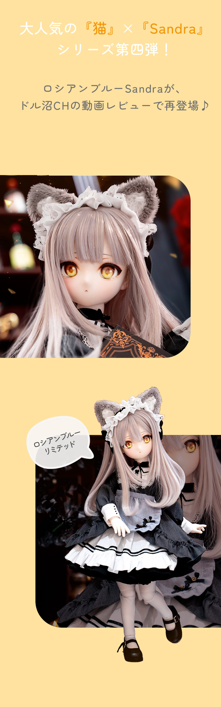 DOLK×Myou Doll | Sandra ロシアンブルー ver. Limited 特設 - DOLK