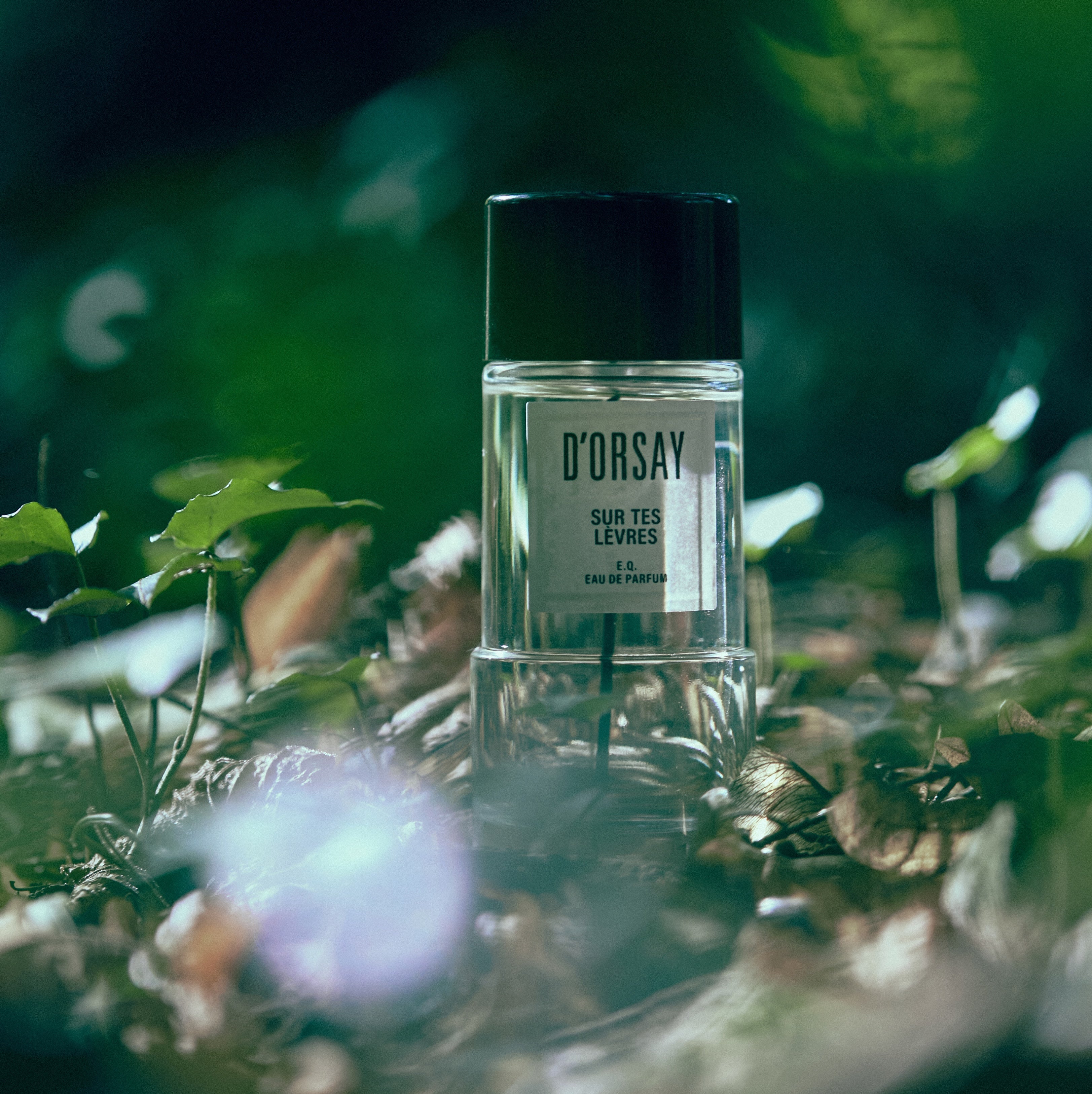 香水(ユニセックス) D'ORSAY E.Q. 50ML D'ORSAY - Sur Tes Lèvres