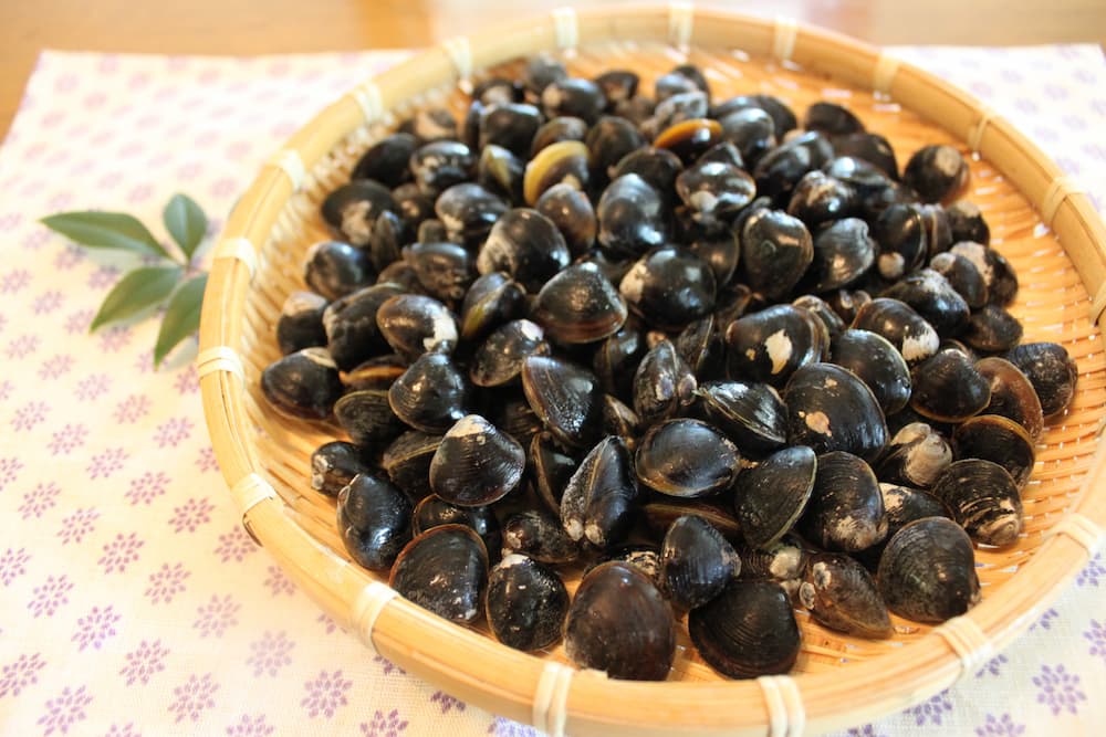 宍道湖しじみセット 8個セット(8個): 山陰エリア│DISCOVER WEST mall