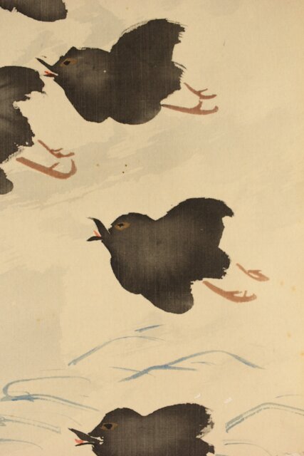 掛軸 佐野光穂作「芙蓉」 絹本共箱塗二重箱入 掛軸 佐野光穂作「芙蓉