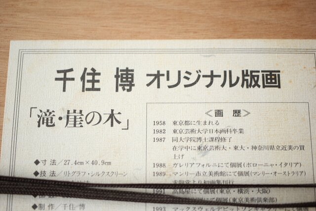 千住博「滝・崖の木」Hiroshi Senju Water fall リトグラフ 額装 Z513