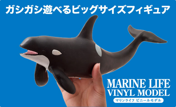 mic21ダイビングショップ[ フェバリット ] FM-301 シャチ ビニール