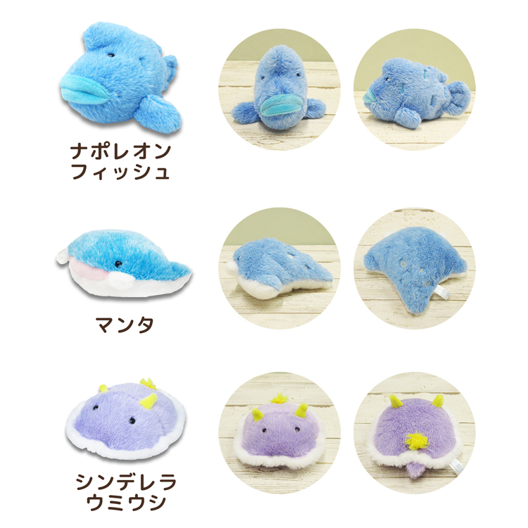 mic21ダイビングショップ[ 内藤デザイン研究所 ] 海中散歩 ぽちゃまる