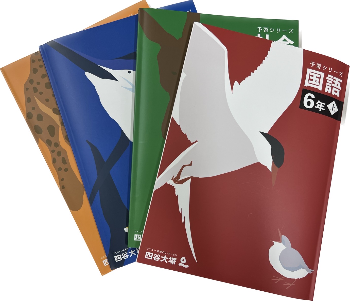 公式】中学受験の塾対策コース_四谷大塚 |家庭教師の札幌エデュオ