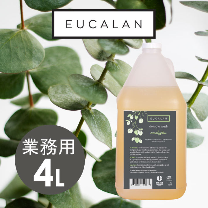 eucalyptus4000_720x.jpg?v=