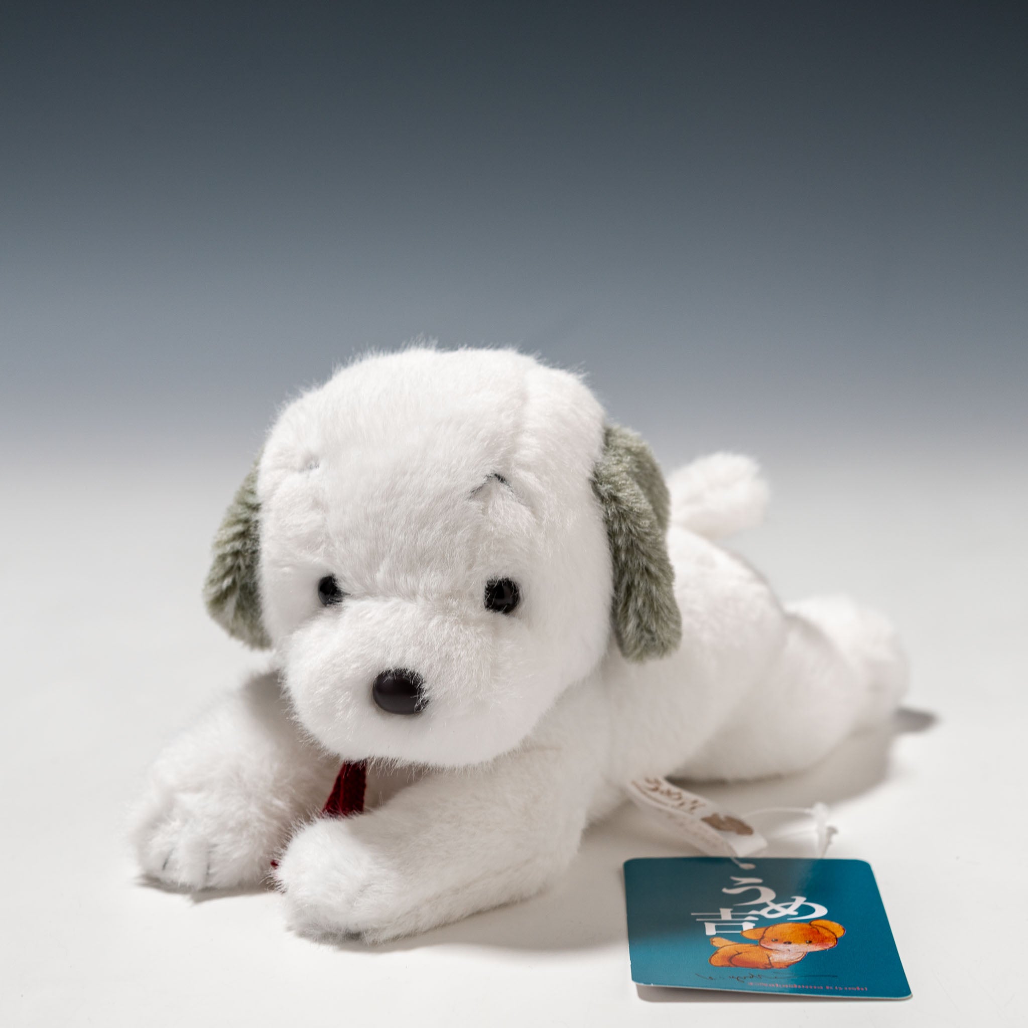 OT-202509-1.jpg?v=1726987776&