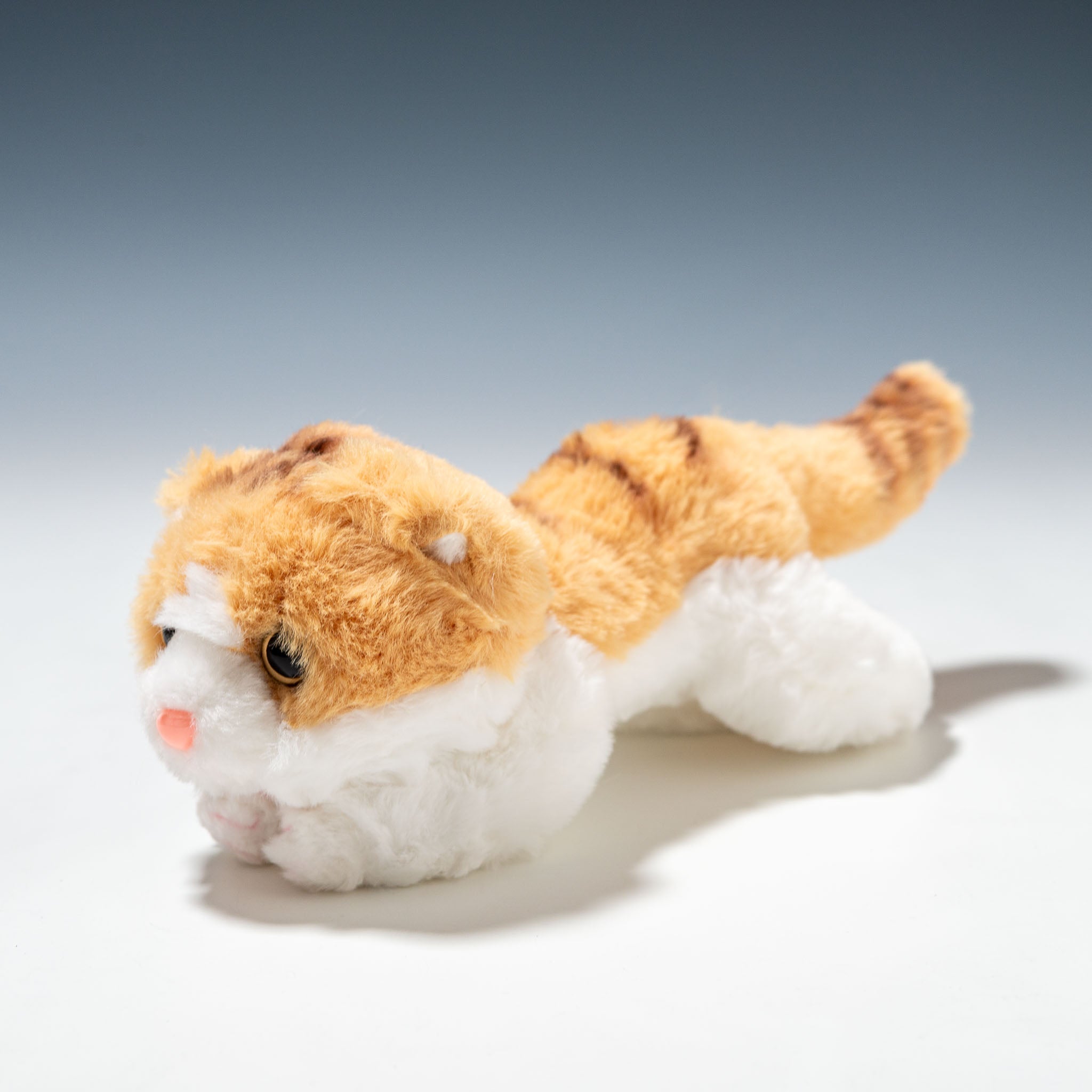 CUTE キュート販売 ぬいぐるみ くたくたニャンコ スコティッシュ