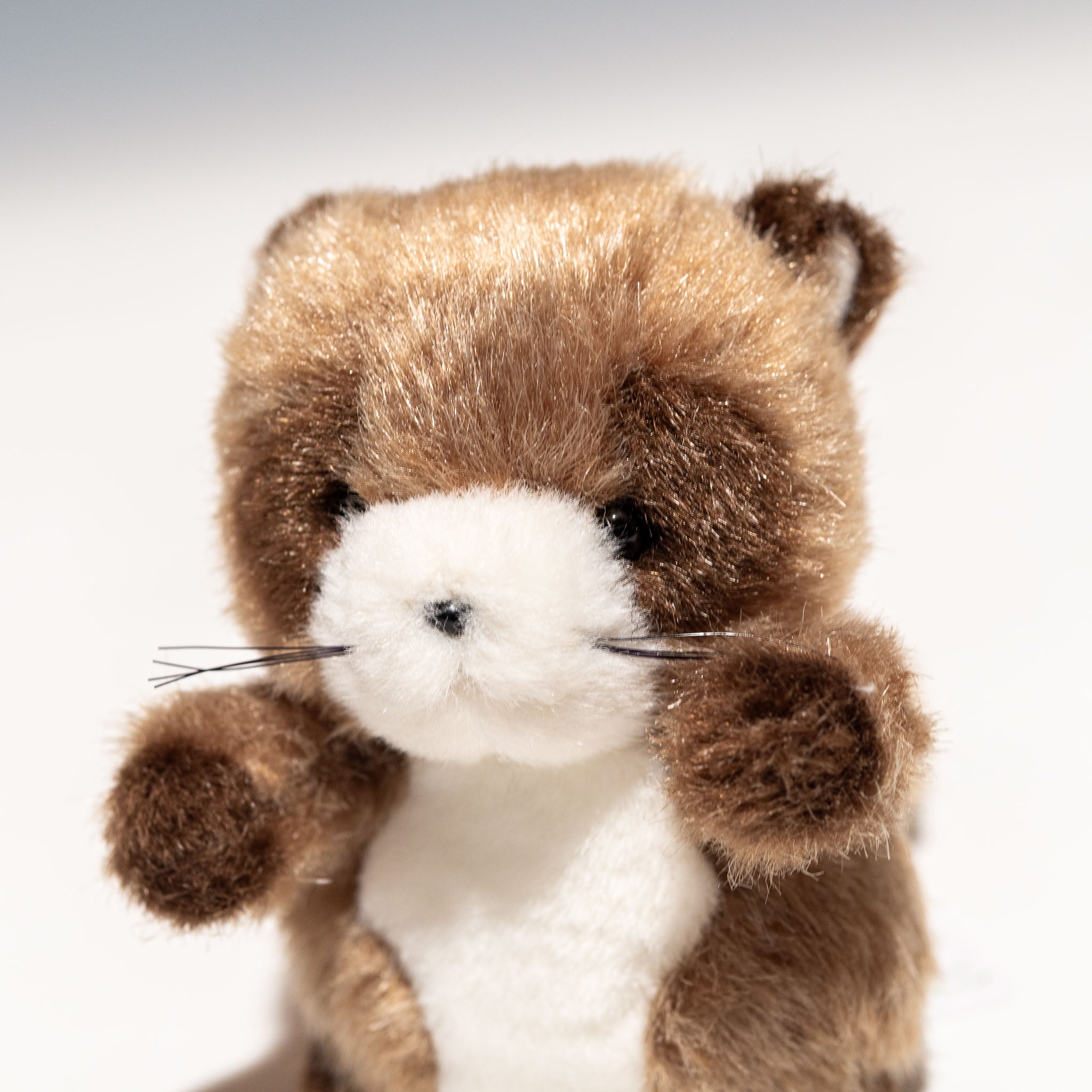 たけのこ TAKENOKO ぬいぐるみ プチプチらんど 森のなかま タヌキ