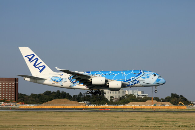 ANA A380 ホヌの1号機 翼端に異変！？ ウィングチップが足りない