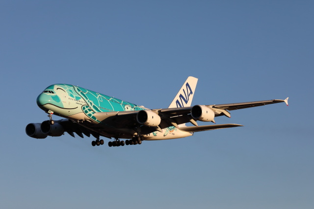 ANAフライング・ホヌ、約1年ぶり関空へ 今回は2号機 | FlyTeam ニュース