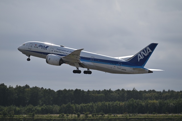 イチコー 全日空 ジャンボジェット 747 ANA 全日空 ジャンボジェット