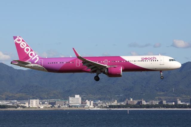 ピーチ 機材一覧 運用中 エアバスA321neo | FlyTeam(フライチーム)