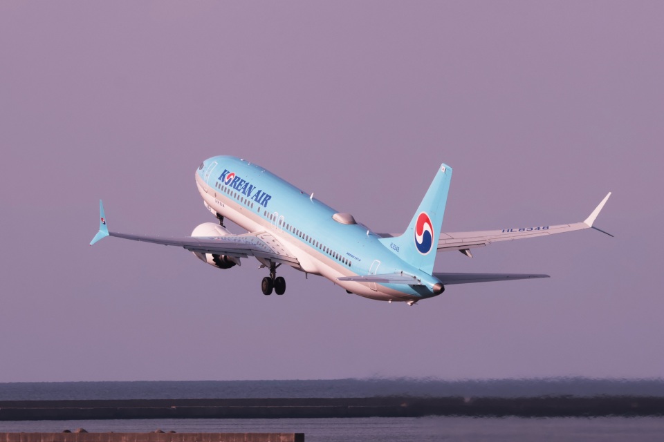 大韓航空 Boeing 737 MAX 8 HL8348 新潟空港 航空フォト | by めん