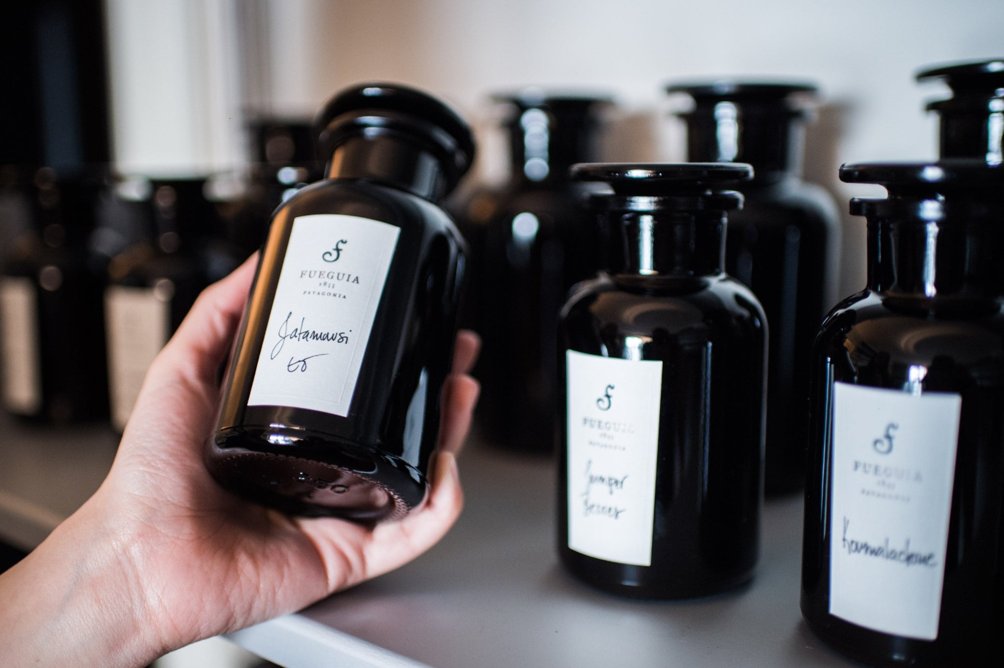 FUEGUIA 1833 | Vintage Cave｜ヴィンテージ カーブ – FUEGUIA 1833