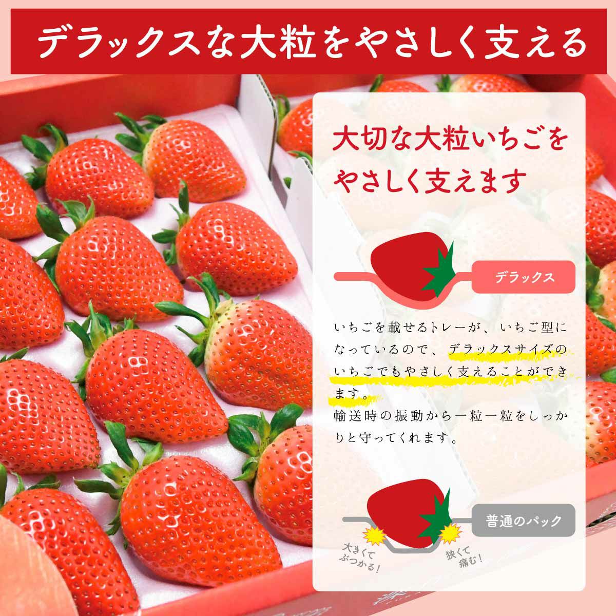 いちご ラブソング（紅ほっぺ）デラックス DXサイズx2トレイ【送料