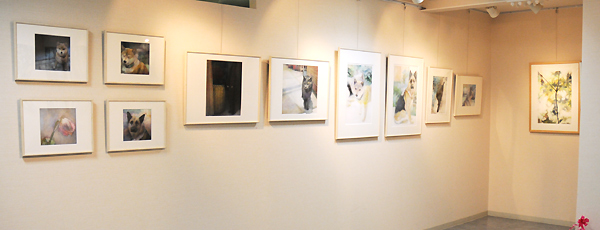 粉川江里子「白く…1」油彩 2015 証明書付 粉川江里子「白く…1」油彩