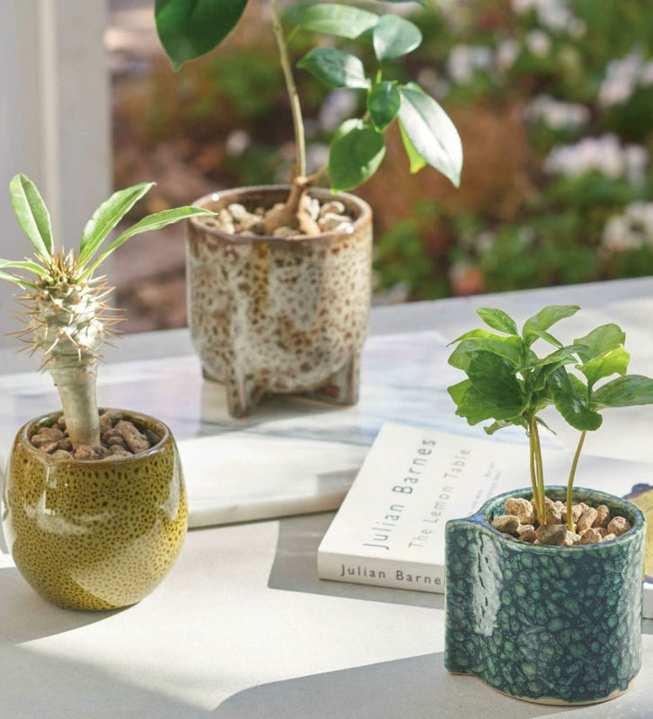 おしゃれな植木鉢をお探しなら！ ガーデニングの専門店 - 鉢人