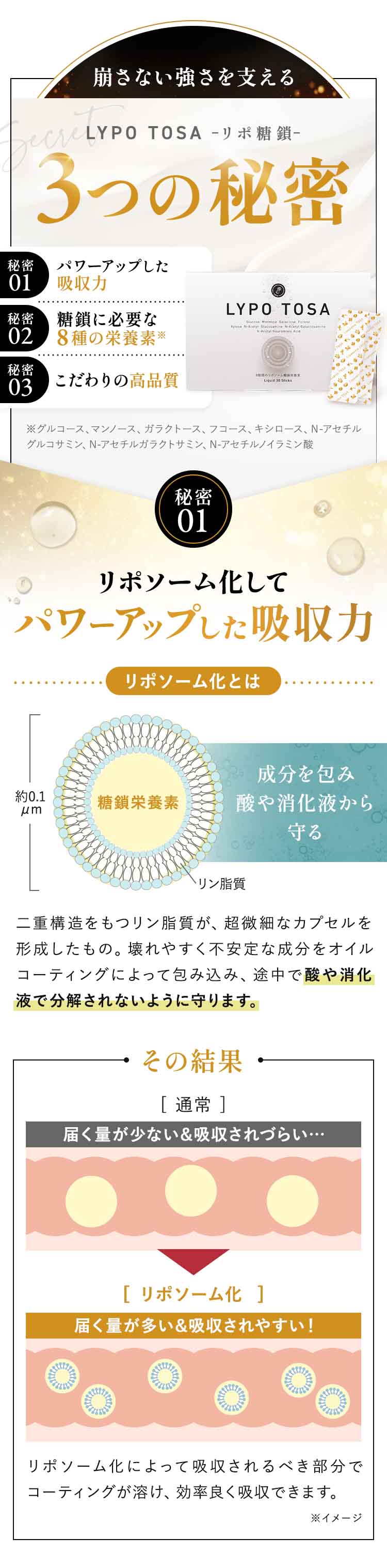 リポ糖鎖（とうさ）液状タイプ【定期】
