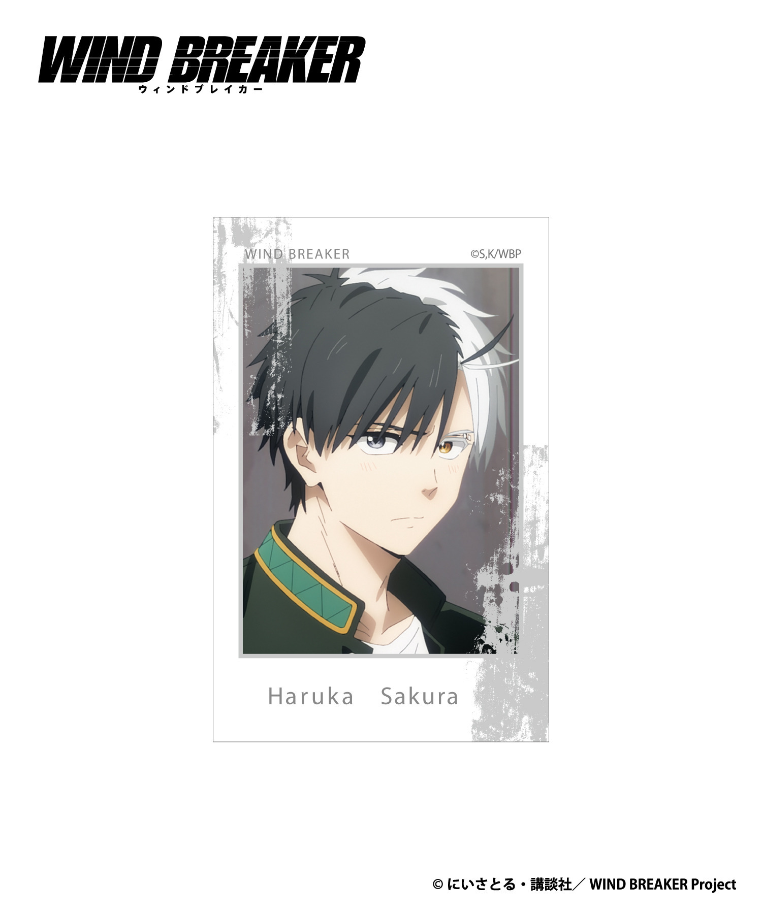 TVアニメ『WIND BREAKER』ブック型フォトカードセット_桜遥｜HICUL