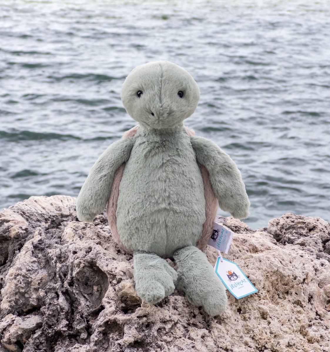 Jellycat Original Bashful Turtle - RARE- HTF - NWT - AUTHENTIC | eBay