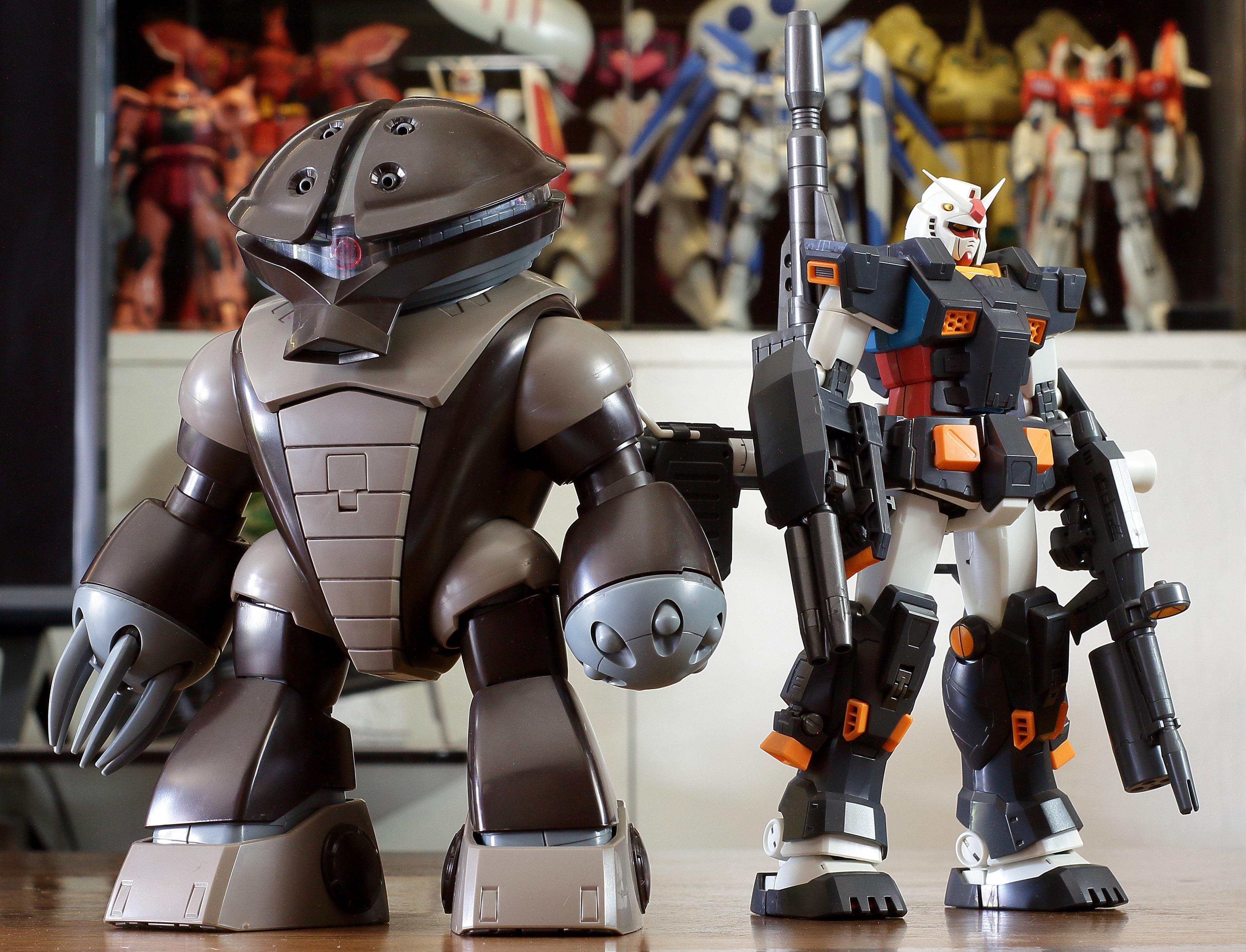 MGアッガイ愛でる投稿。すごく良いキットだよね。 : r/Gunpla