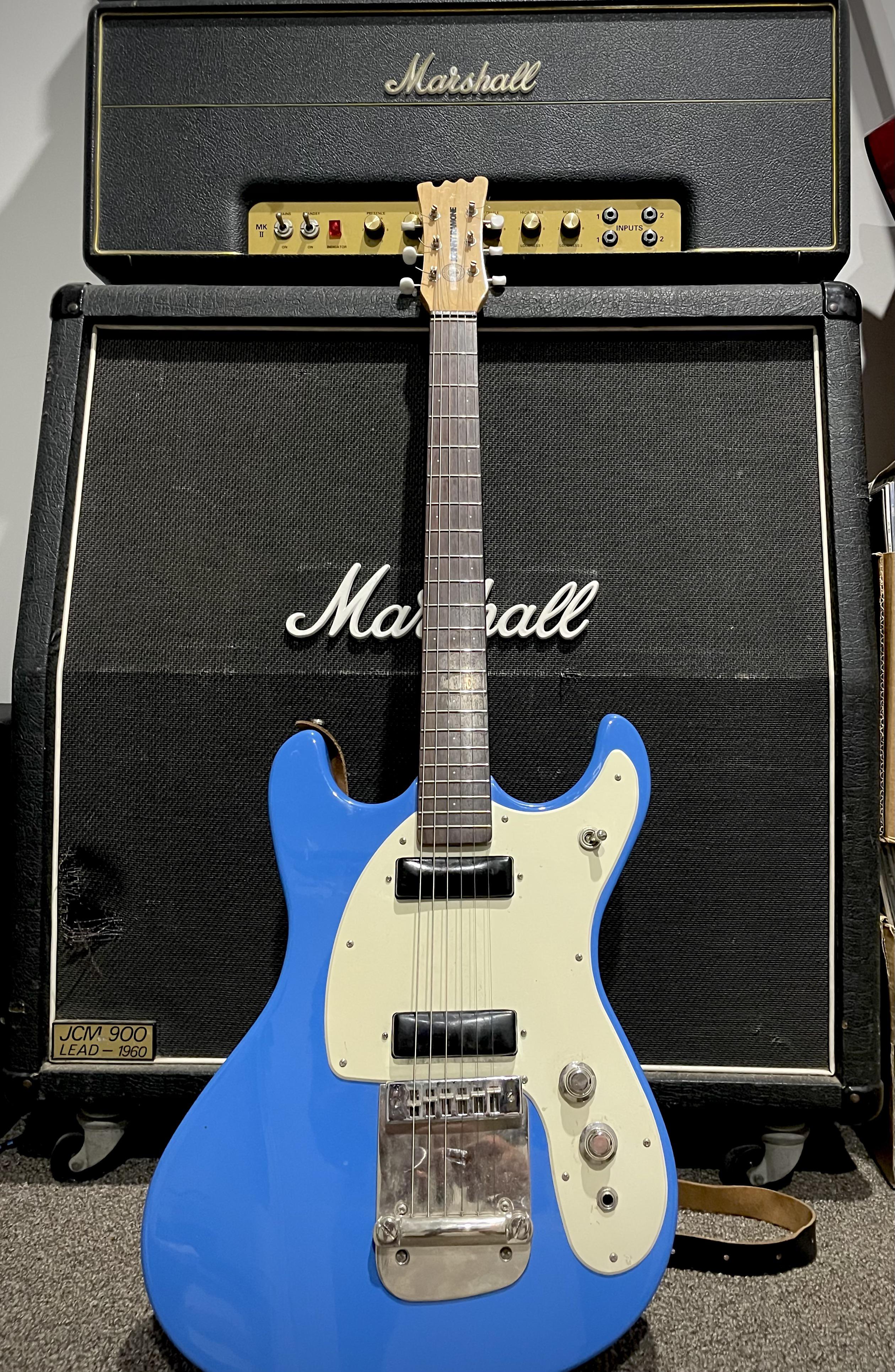 ホールマークのジョニー・ラモーンモデル。 : r/guitarporn