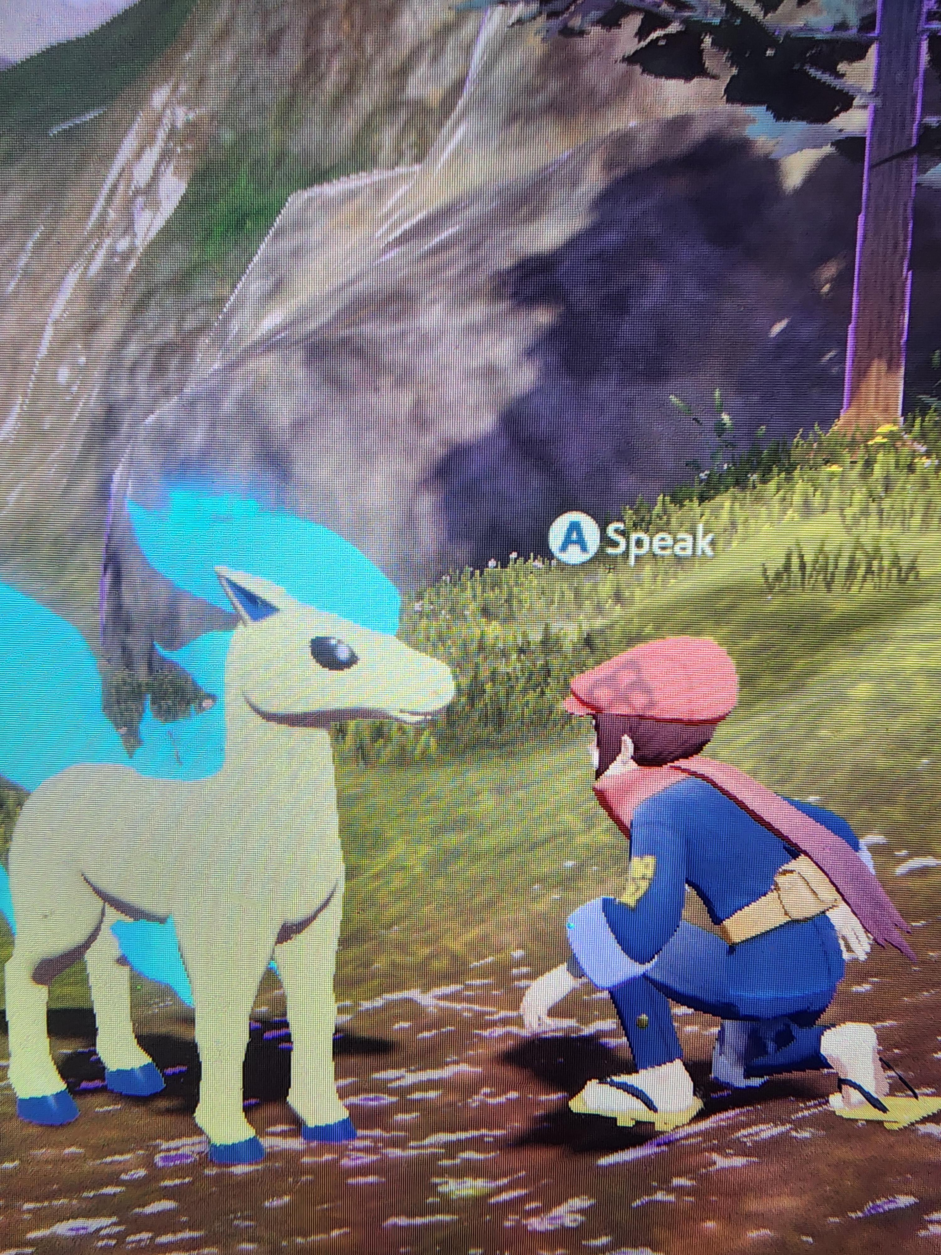 みんな！色違いのポニータ捕まえたんだ！見て！ : r/PokemonArceus