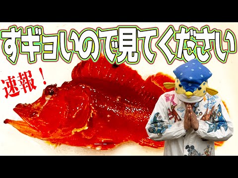 First time in 54 years] We've caught an incredible, mythical fish