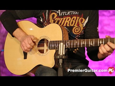 Review Demo - PRS SE A15AL Alex Lifeson Thinline Signature - YouTube