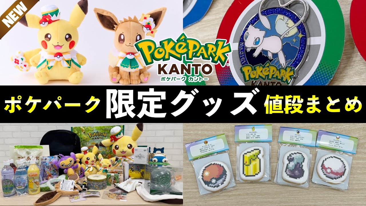 新品未使用】ポケパークカントー ピンズ モンスターボール イーブイ