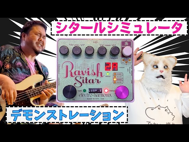 Demo】ELECTRO-HARMONIX / RAVISH SITAR シタールシミュレータを全力で