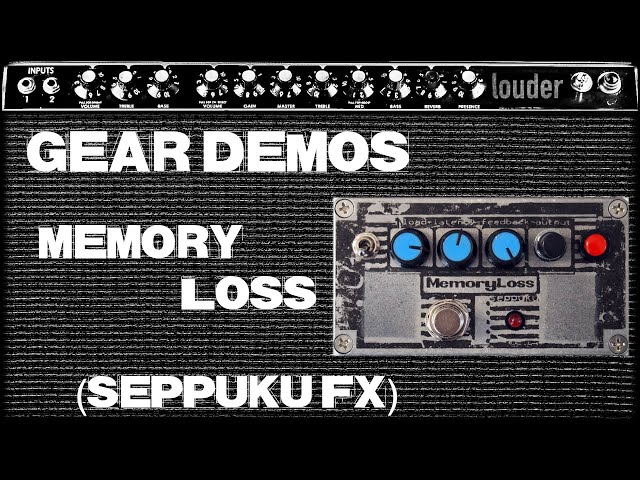 Seppuku fx // Memory Loss // Demo (no talking) - YouTube