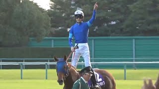 チャンピオンズカップ 1着レモンポップ号（坂井瑠星騎手）2024年12月1