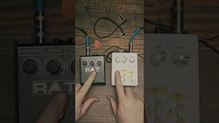 ProCo Rat 2 Red Ikebe Exclusive - Pedal on ModularGrid