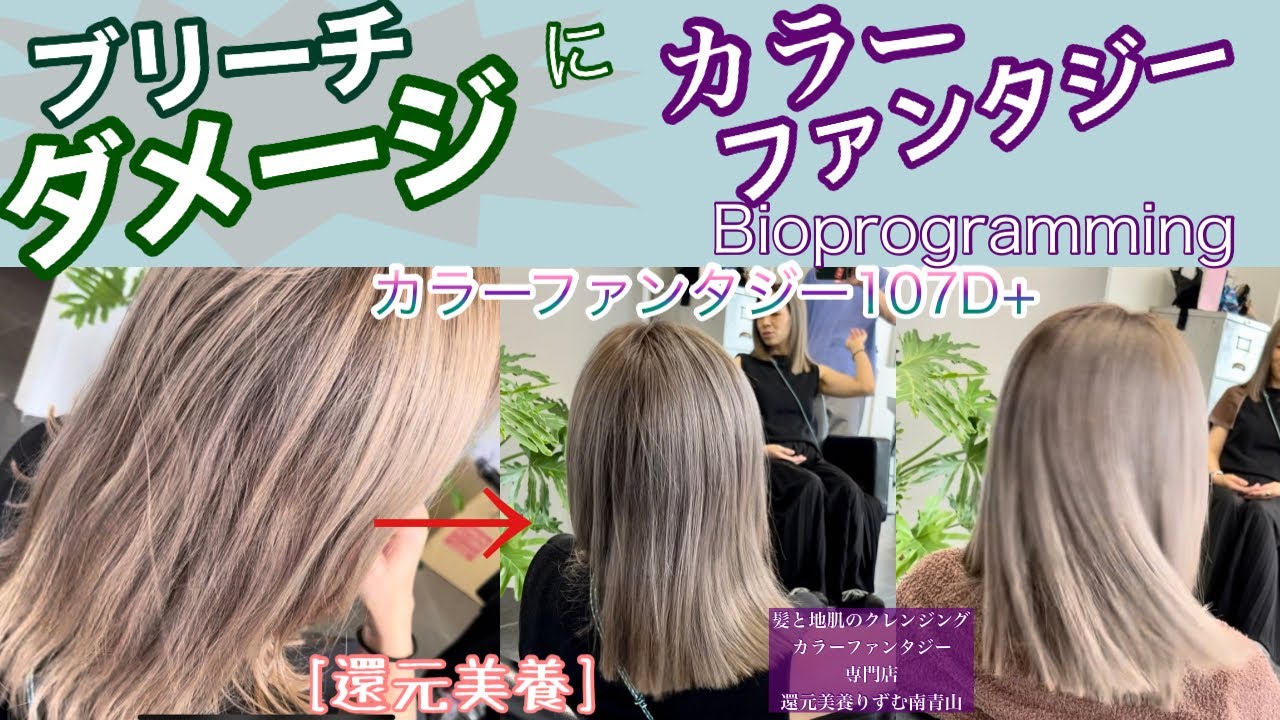 Color Fantasy 107D+ for bleach-damaged hair #Bioprogramming #Color
