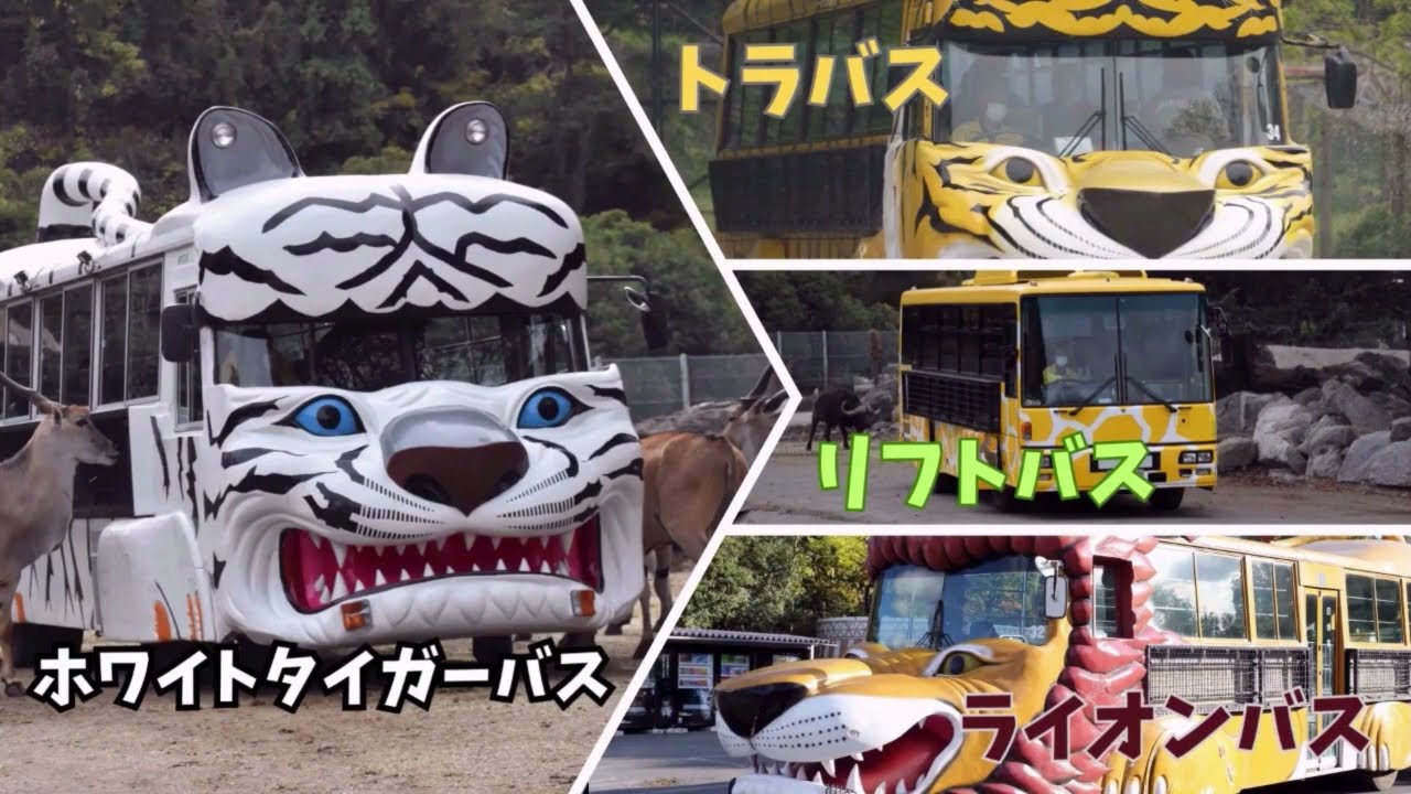 エサバスplus（平日限定） | 野生の王国 群馬サファリパーク