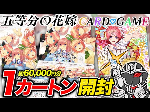 1 carton opened] We prepared 12 boxes of the Quintessential