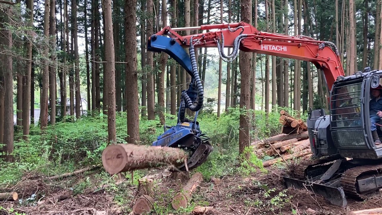 maxresdefault.jpg?sqp=-