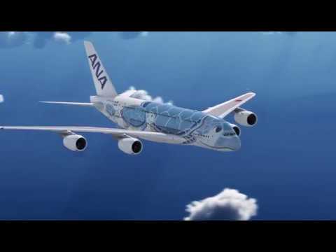 ANA AIRBUS A380「FLYING HONU」CG動画を公開 - YouTube