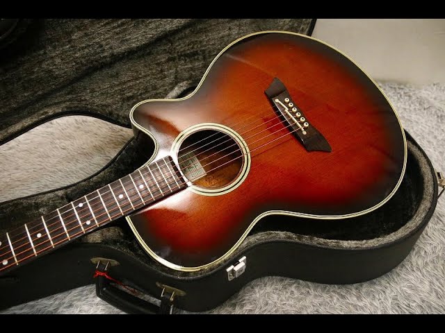 Takamine PT-106 VS PALATHETIC PICKUP w/Hardcase Made in Japan