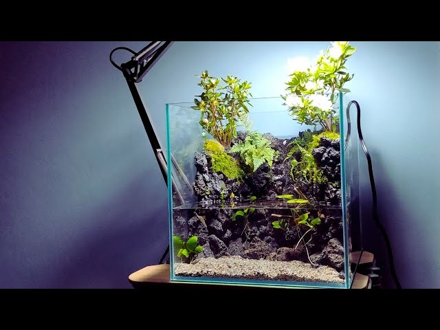 30cm cube aquarium] Reproduce the valley where flowers bloom with