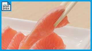 東邦ガスの工場でサーモン養殖 “大量の冷たい海水”がポイント ｢知多