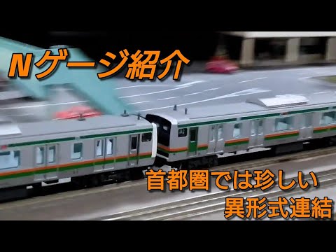 首都圏のJRで唯一の異形式連結をNゲージで] KATO製品のE231系近郊型と