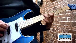 German Xtra Blue, Bogner Ecstasy 101B (EL34) demo #Helix #ギター