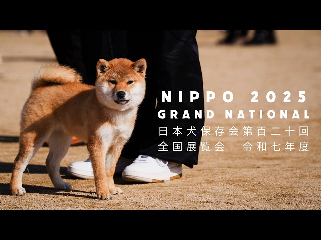 NIHON KEN HOZONKAI NIPPO Grand National 2025 - COMPILATION 令和7