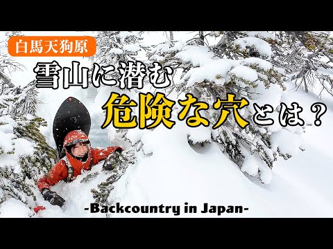 HAKUBA in Japan】Enjoy backcountry ski but be careful about Tree