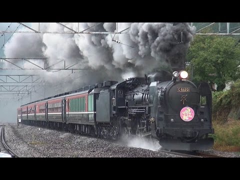 C61＋12系『SLばんえつ物語』編成 上越線を走る - YouTube