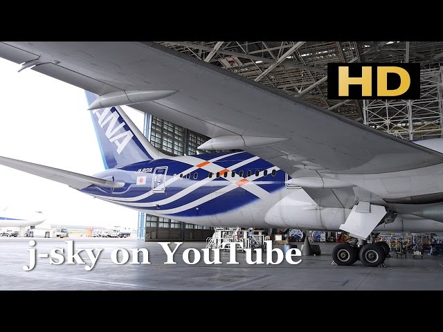 Good-bye Special Livery ANA 787-8 [JA801A] / さよなら 特別塗装機