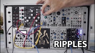 Mutable instruments Ripples - Eurorack Module on ModularGrid